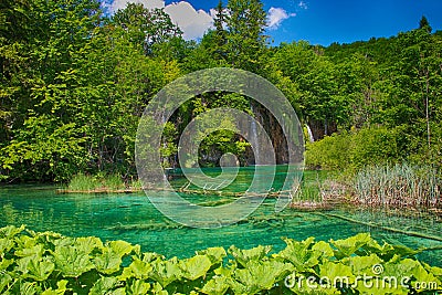 Plitvice Lakes Stock Photo